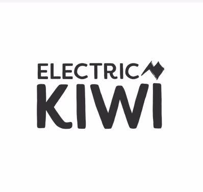 10,000 kWh of electricity from Electric Kiwi