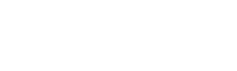 New Zealand-Made Energy